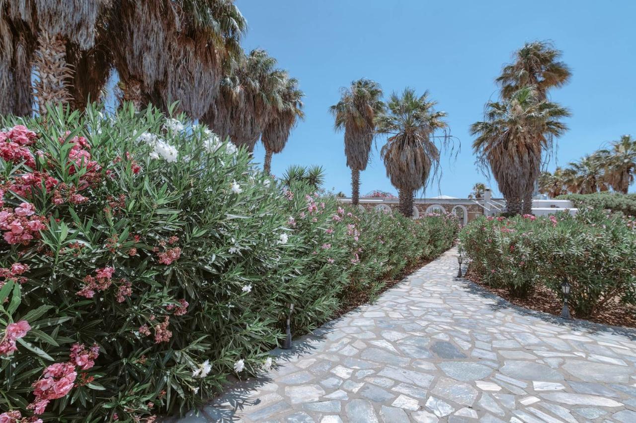אנטיפארוס Palm Heaven Boutique Apartments מראה חיצוני תמונה
