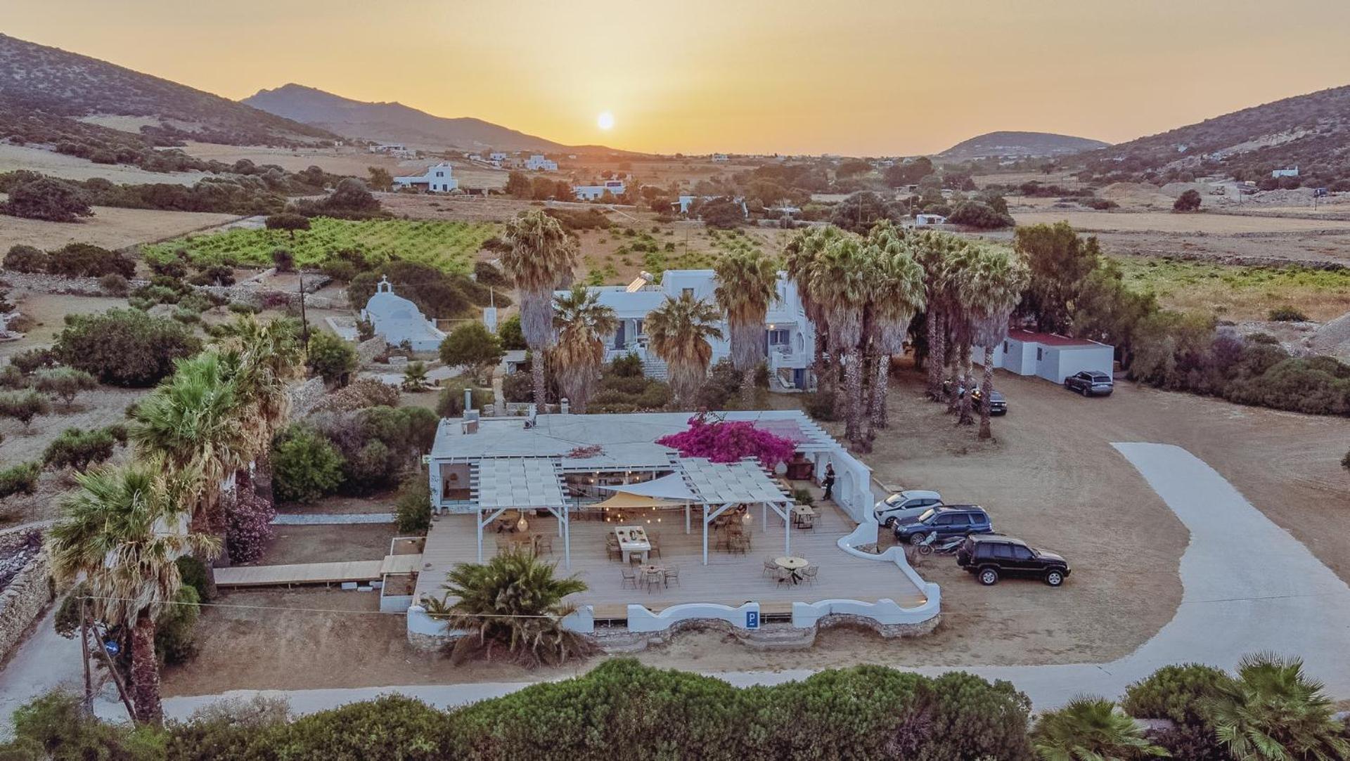 אנטיפארוס Palm Heaven Boutique Apartments מראה חיצוני תמונה