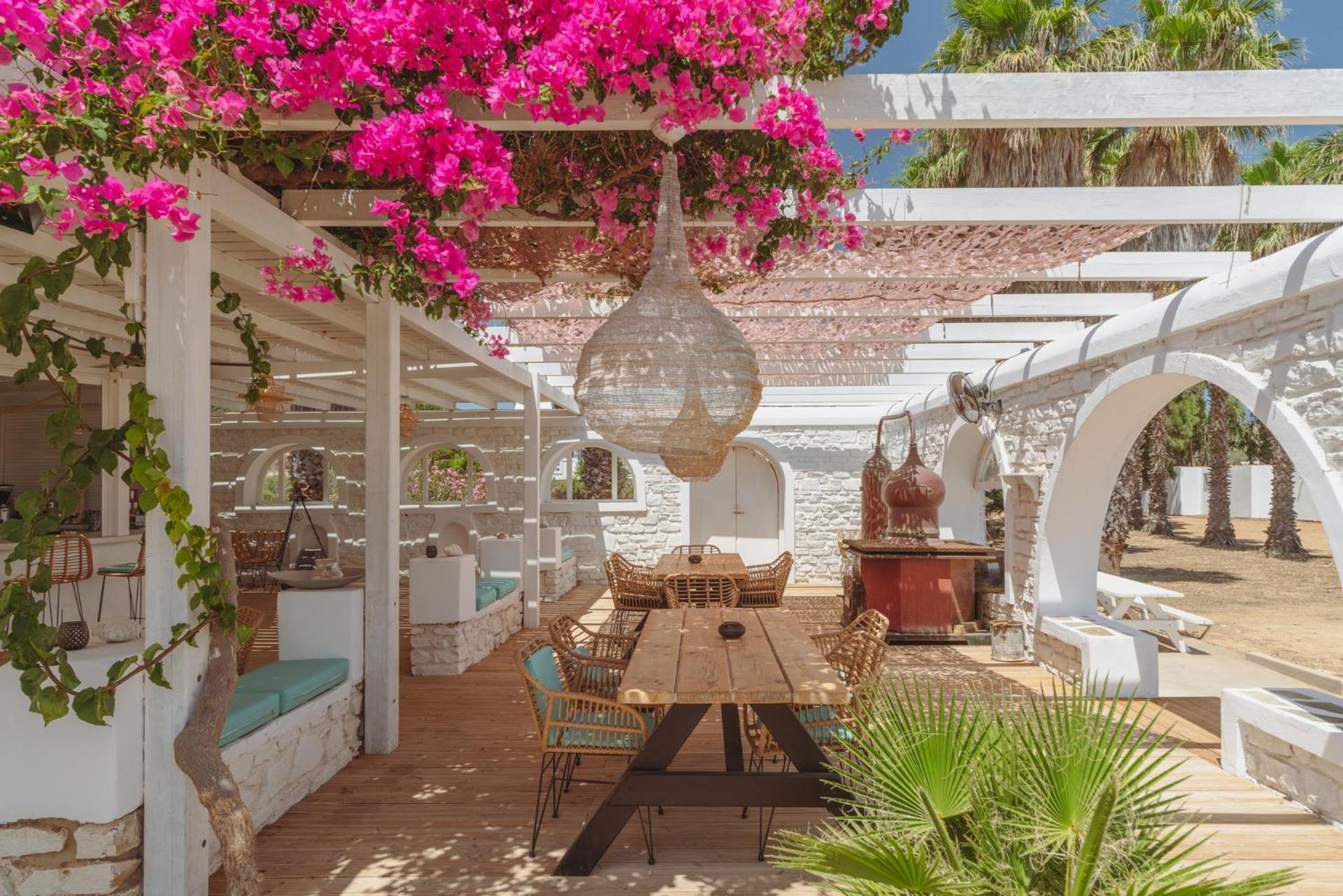 אנטיפארוס Palm Heaven Boutique Apartments מראה חיצוני תמונה