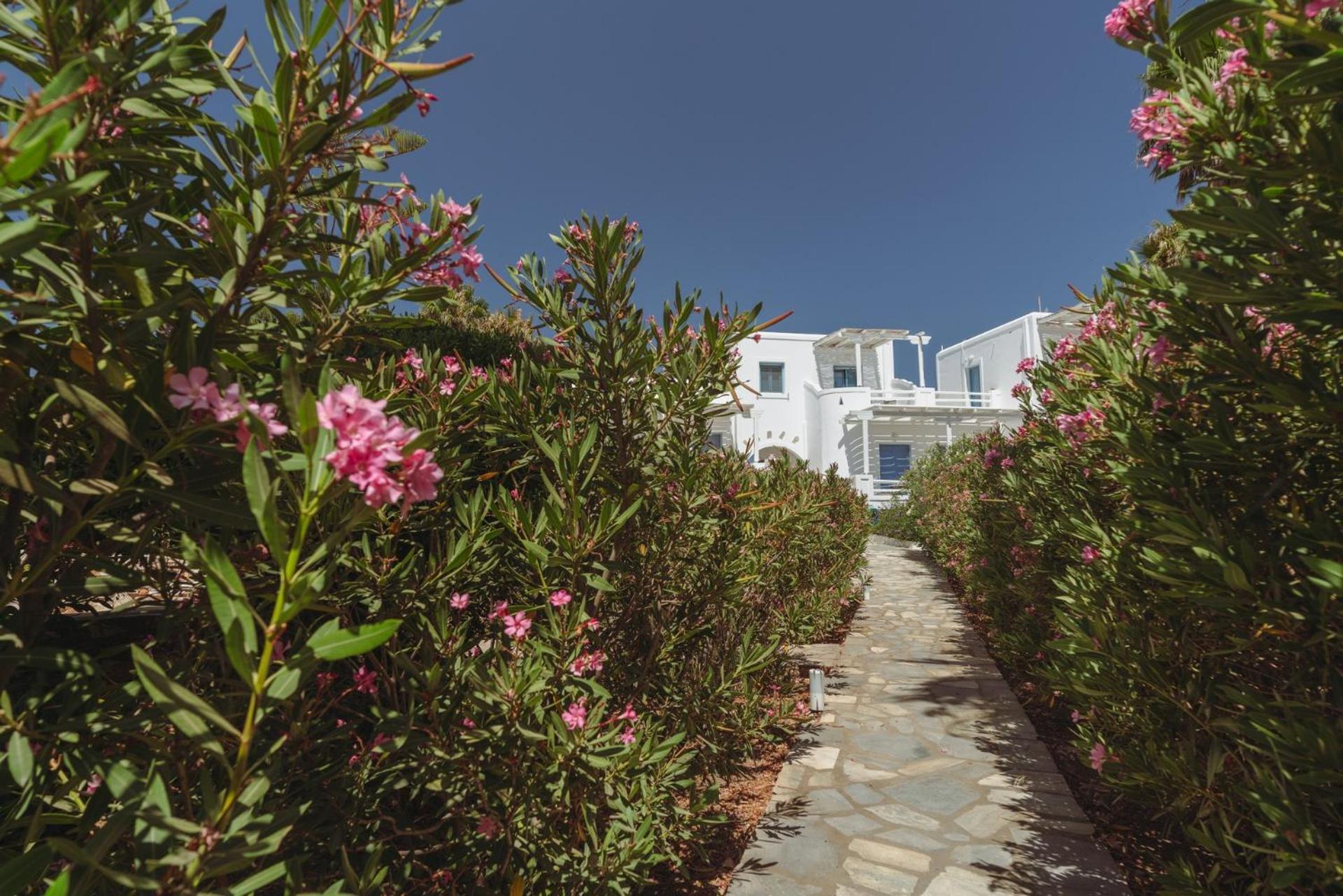 אנטיפארוס Palm Heaven Boutique Apartments מראה חיצוני תמונה